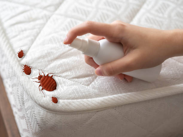 Emergency Pest Control Services in Franklin, KY